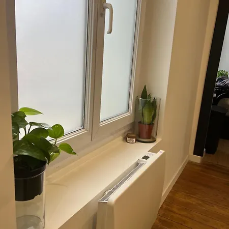 Renove A Neuf Centre Gare Lestroishorizons Lejlighed *